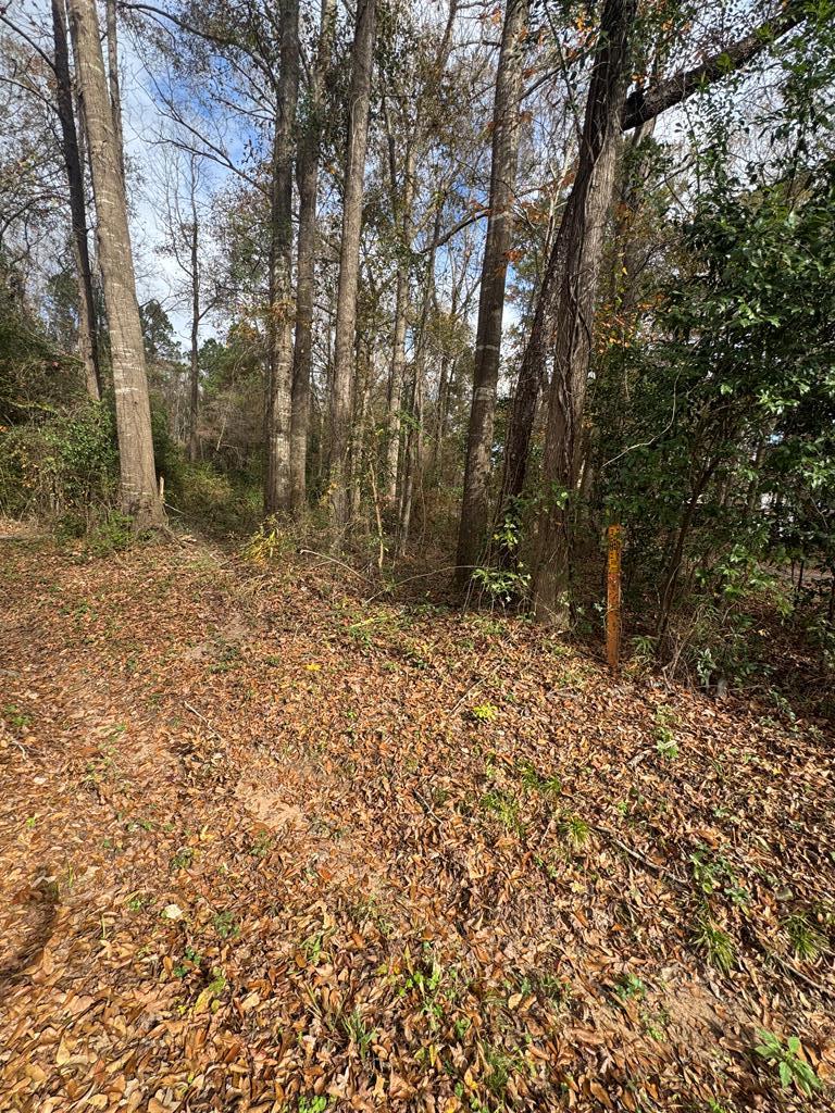185261 Pine Street Property Photo 5