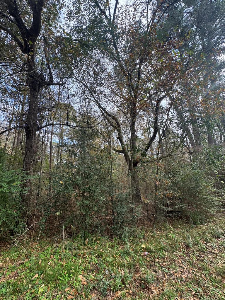 185261 Pine Street Property Photo 7