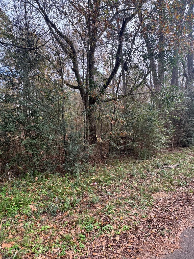 185261 Pine Street Property Photo 8