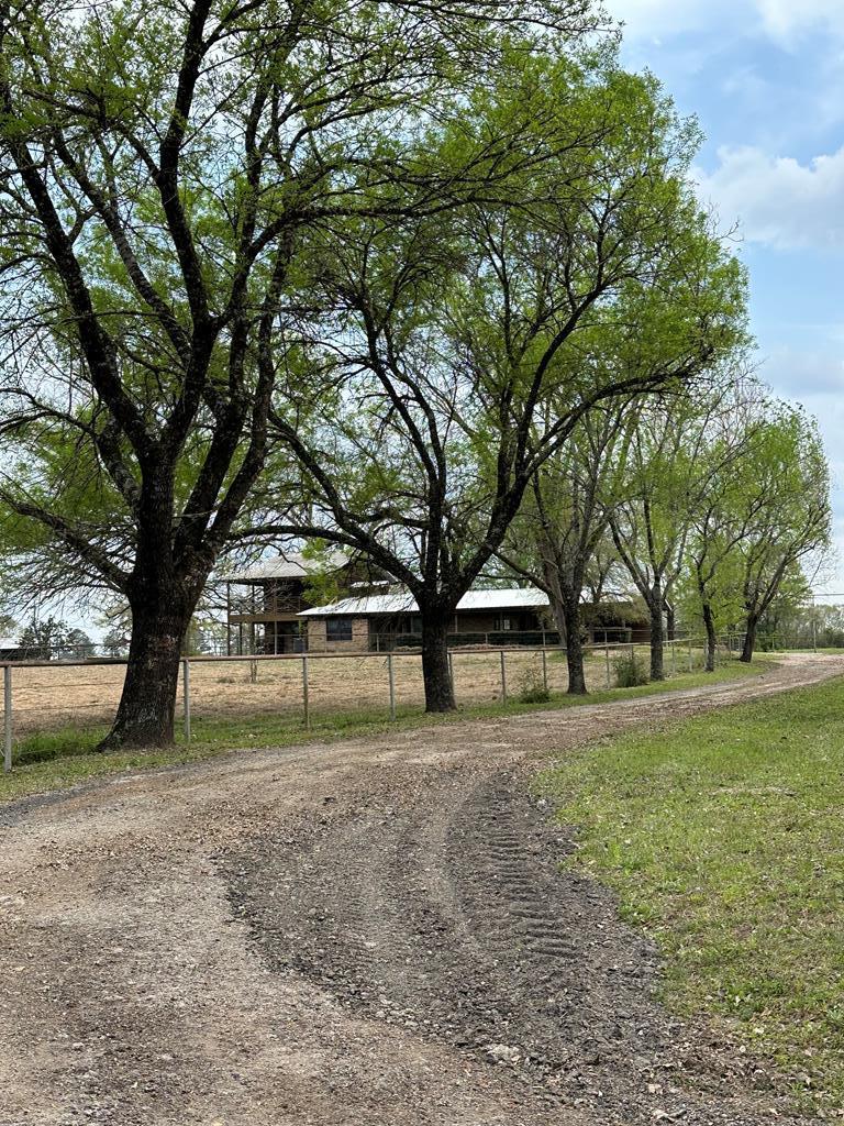 12265 Fm 58 Property Photo 4