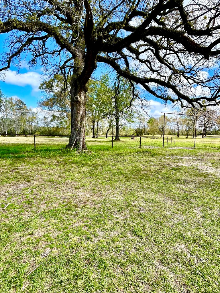 12265 Fm 58 Property Photo 15