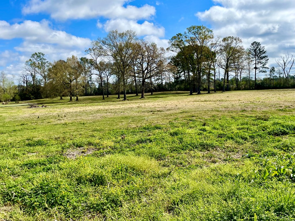 12265 Fm 58 Property Photo 16