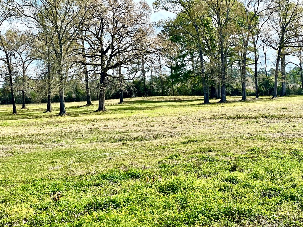 12265 Fm 58 Property Photo 17