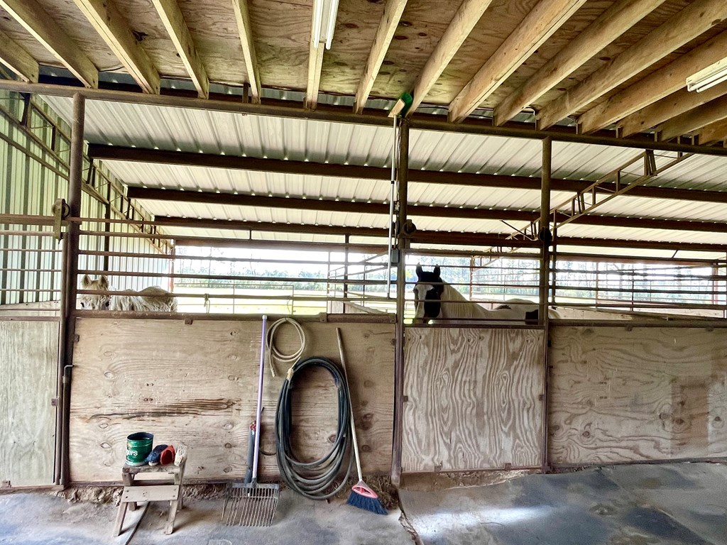 12265 Fm 58 Property Photo 44