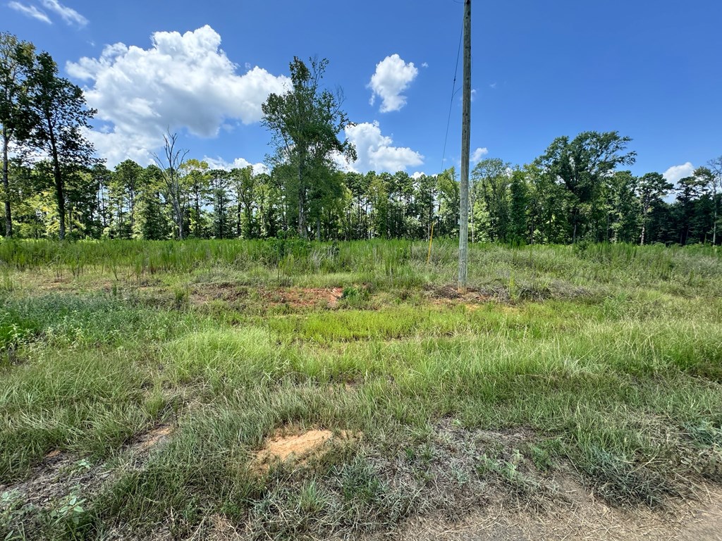 Lot 11 Private Rd 7700 Property Photo 3