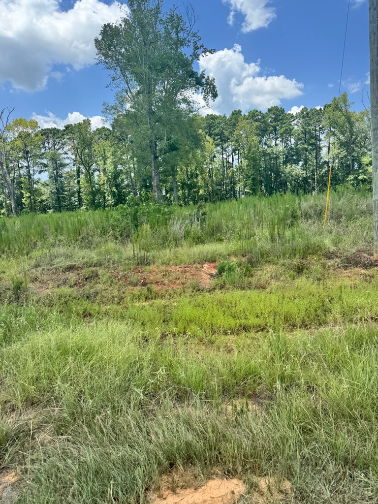 Lot 11 Private Rd 7700 Property Photo 4