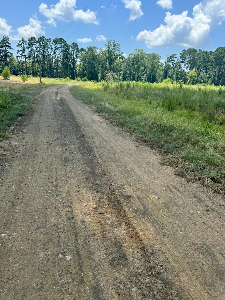Lot 13 Private Rd 7700 Property Photo 1