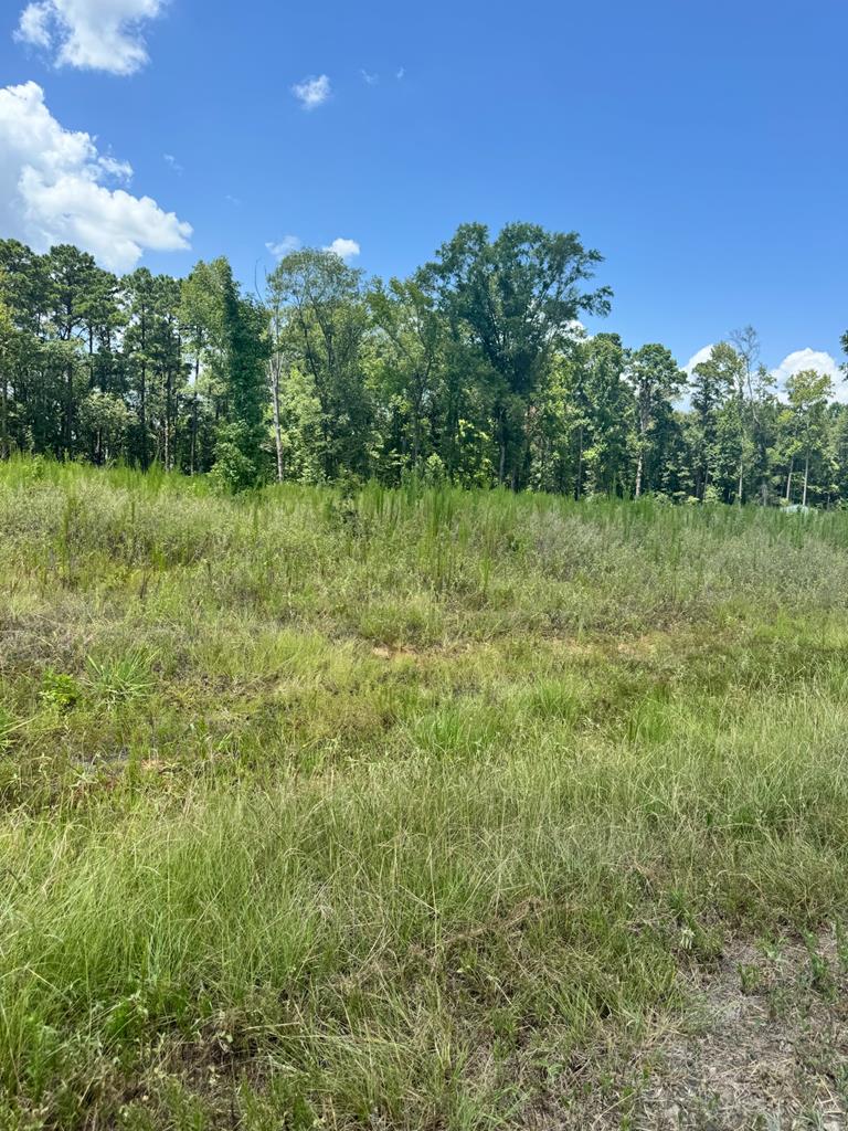 Lot 14 Private Rd 7700