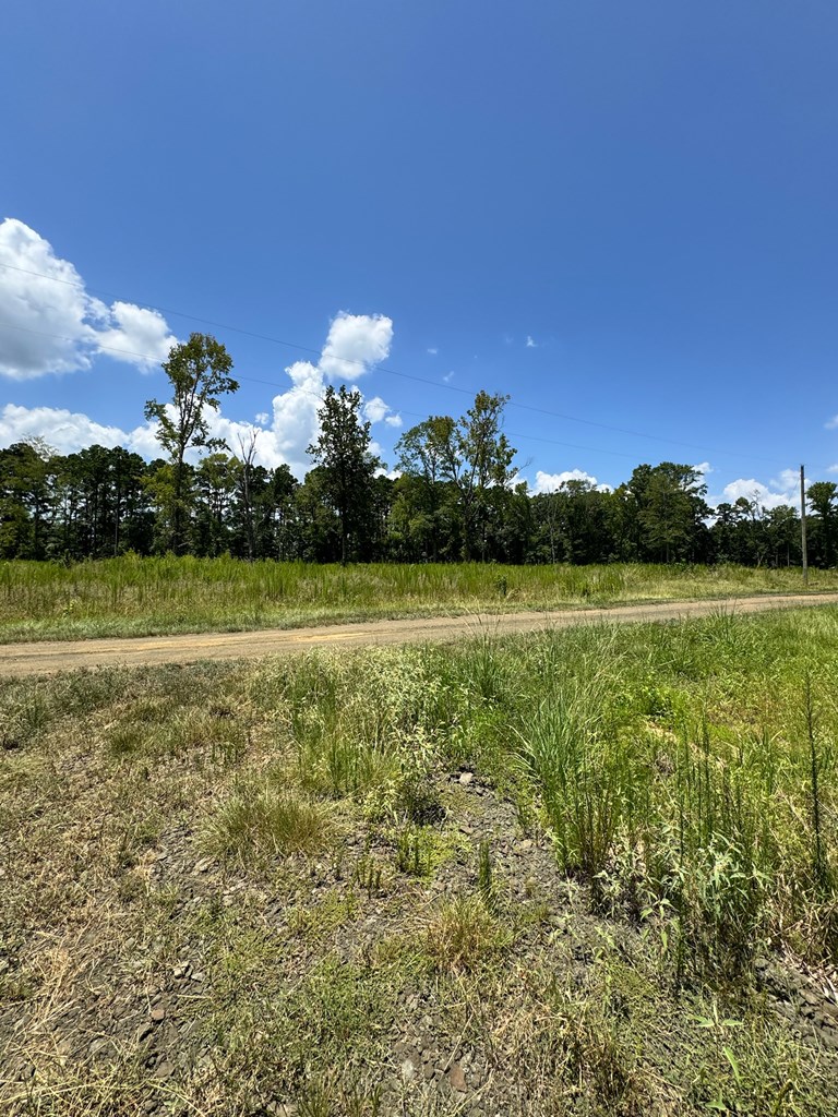 Lot 14 Private Rd 7700 Property Photo 7