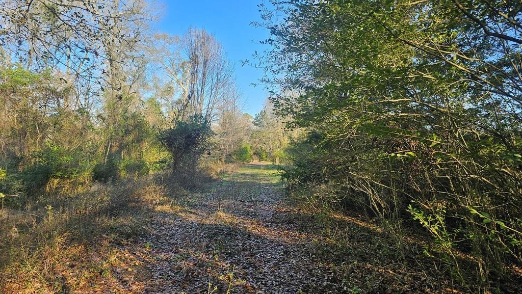 607 County Road 134 Property Photo 1