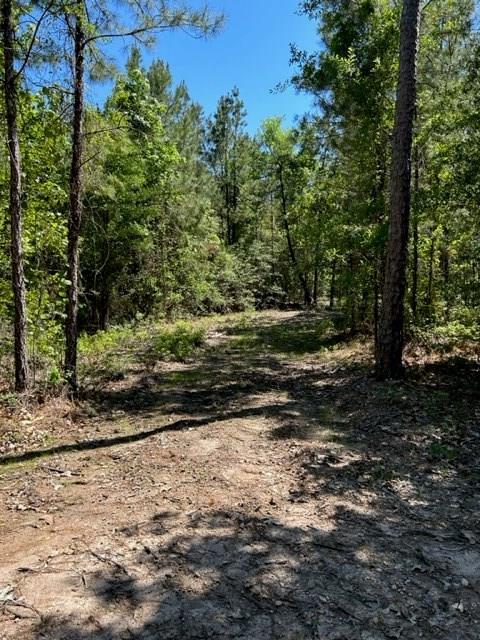 39-b Fm 1751 Property Photo 1