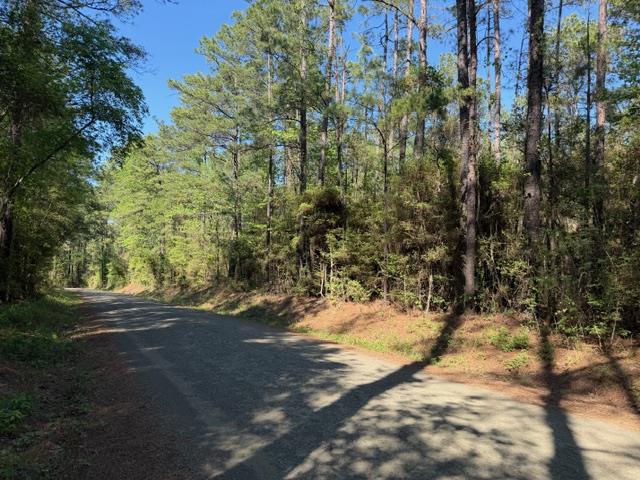 596 County Road 491s Property Photo 4