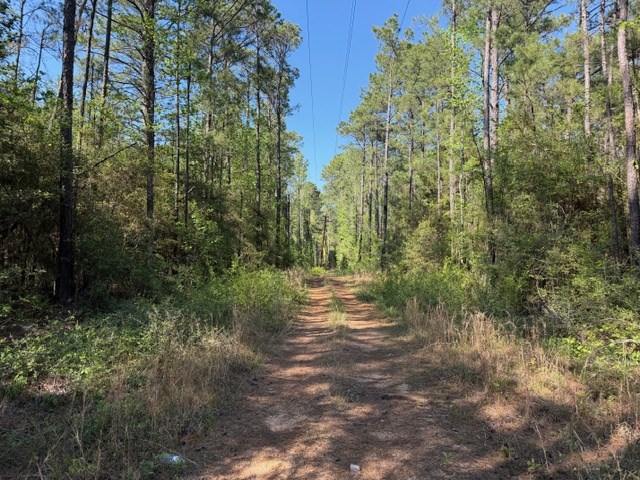 596 County Road 491s Property Photo 5