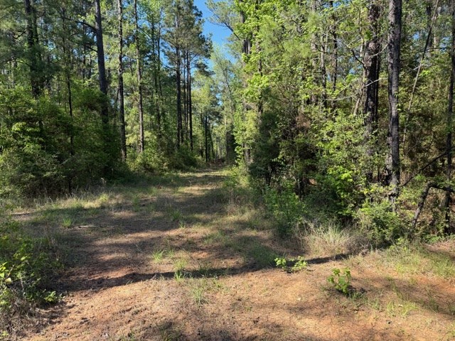 596 County Road 491s Property Photo 8