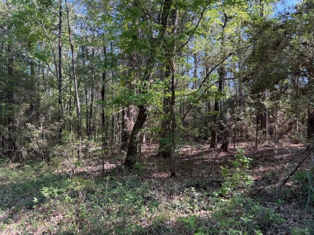 596 County Road 491s Property Photo 10