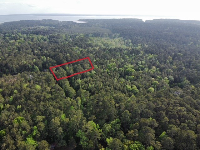 513 County Road 491s Property Photo 2