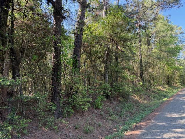 513 County Road 491s Property Photo 4