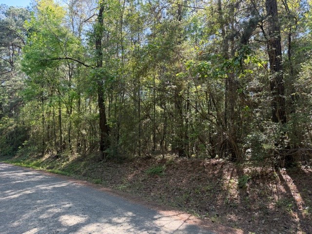 513 County Road 491s Property Photo 5