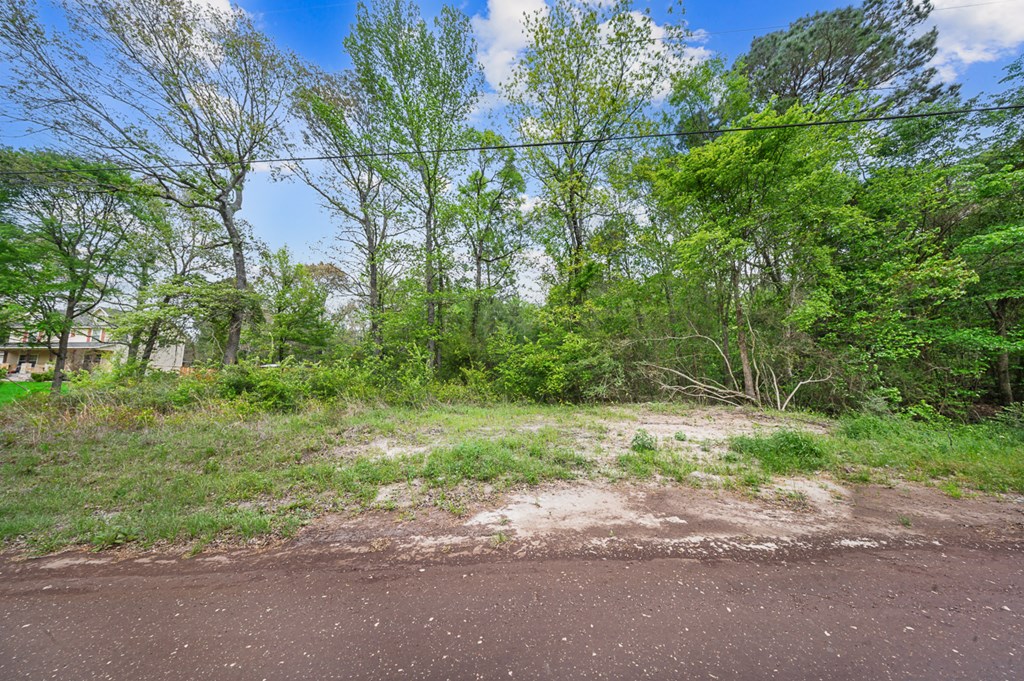 Pid 96952 Memory Lane Property Photo 3