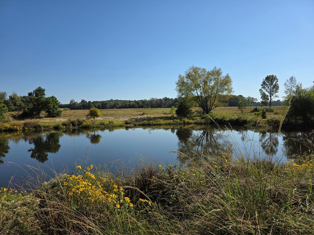 5762 Hwy 63w Property Photo 1