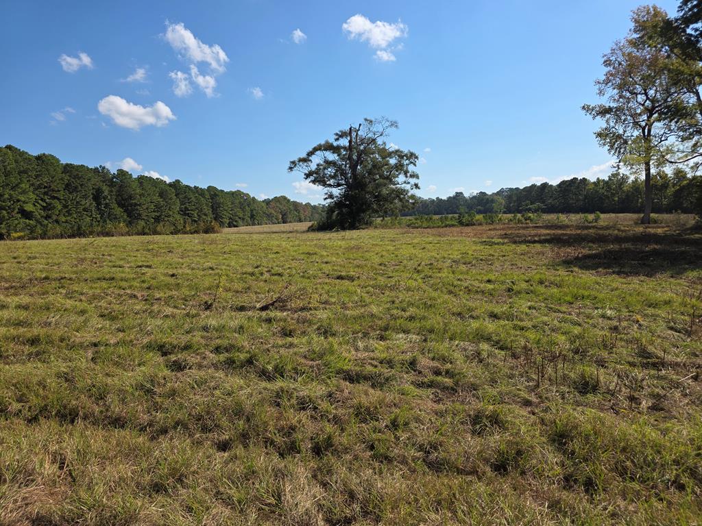 5762 Hwy 63w Property Photo 8
