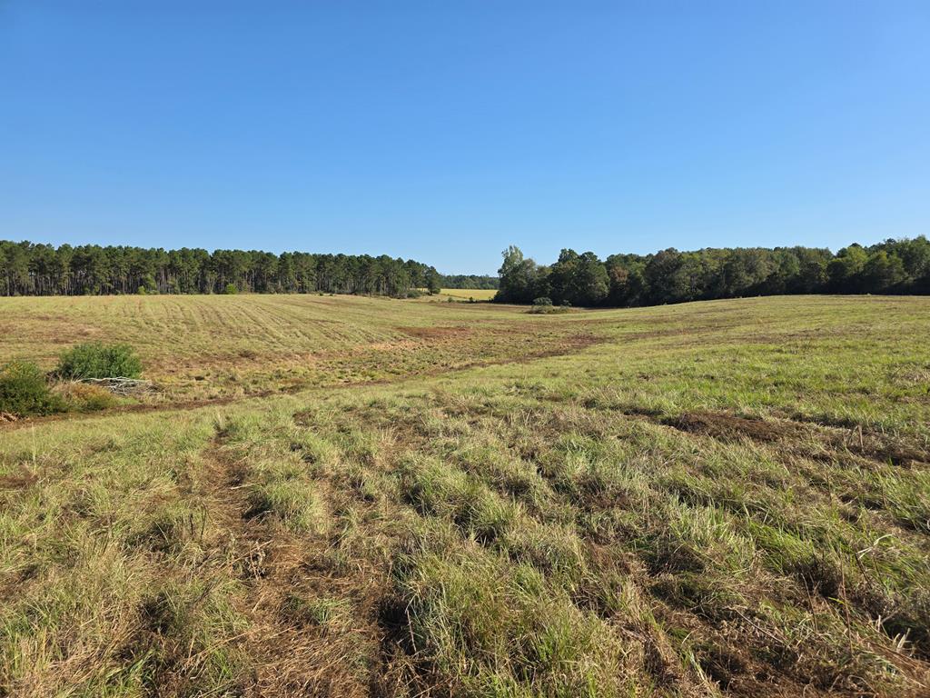 5762 Hwy 63w Property Photo 10