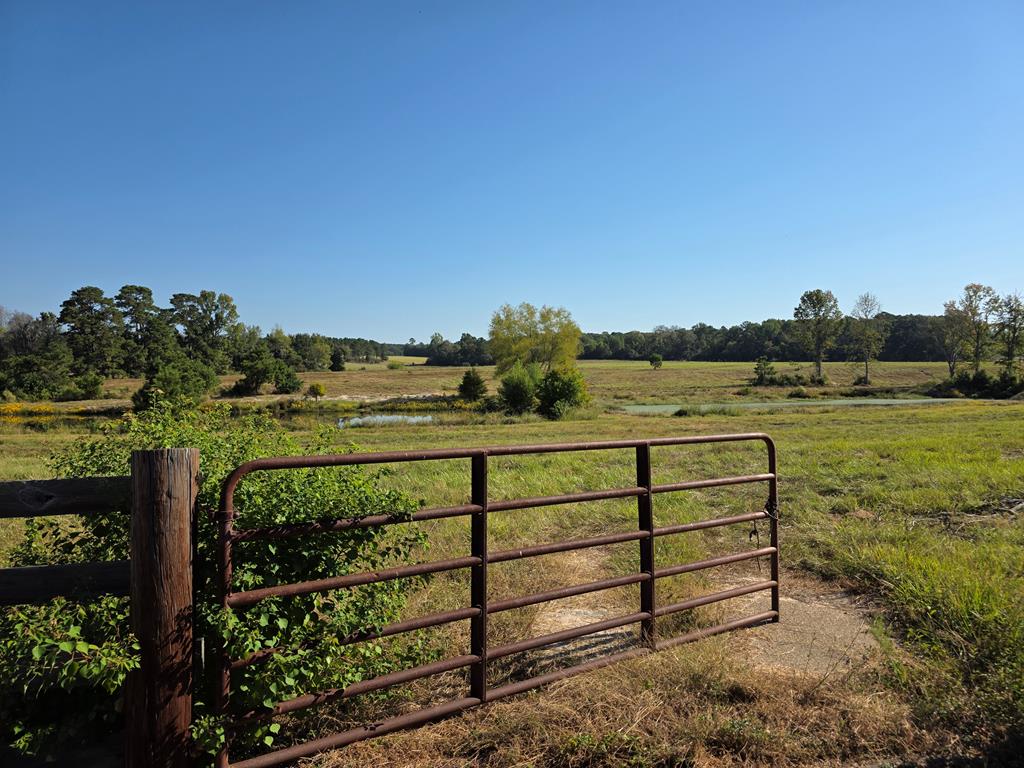 5762 Hwy 63w Property Photo 19