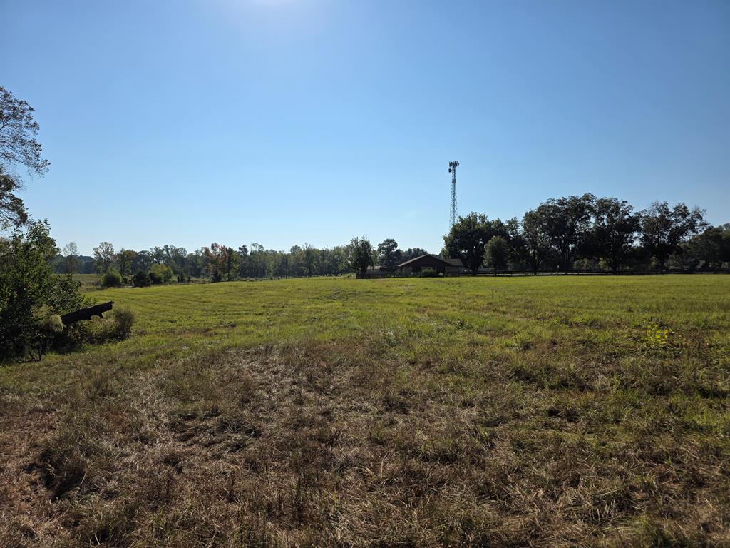 5762 Hwy 63w Property Photo 21