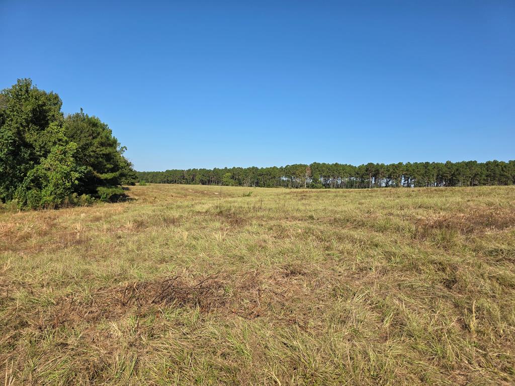 5762 Hwy 63w Property Photo 22