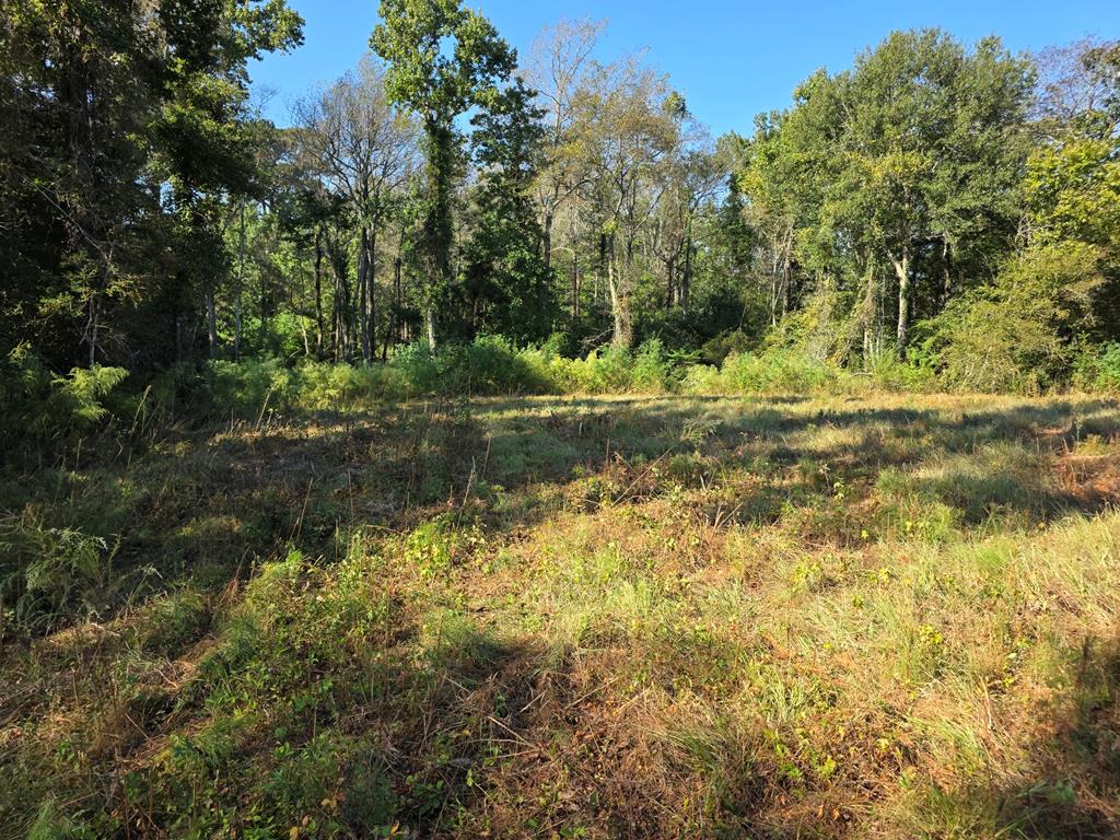 5762 Hwy 63w Property Photo 23