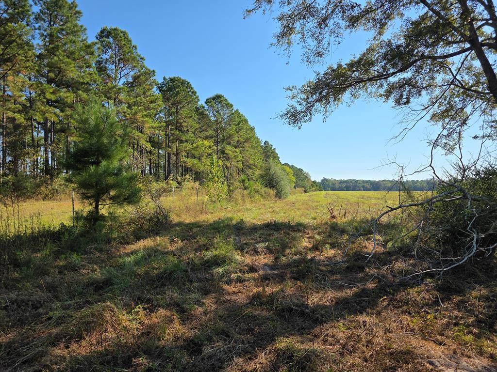 5762 Hwy 63w Property Photo 24