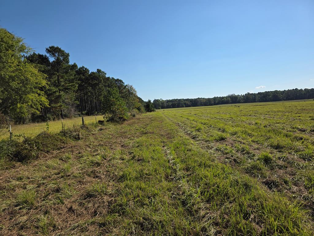5762 Hwy 63w Property Photo 25
