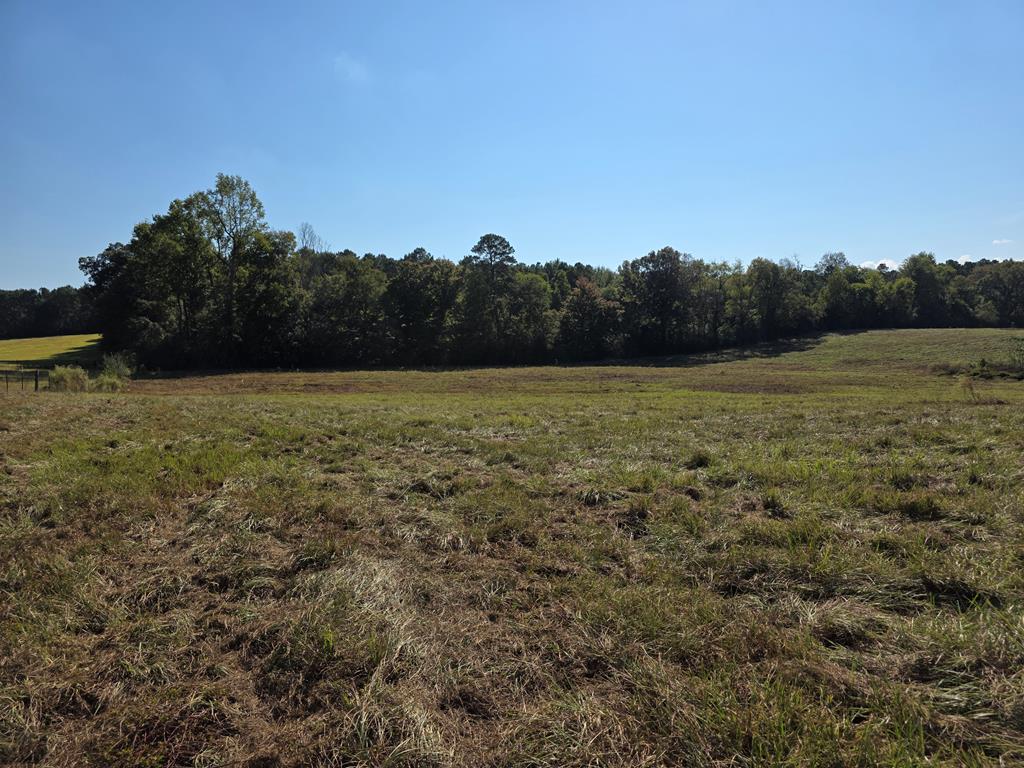 5762 Hwy 63w Property Photo 26