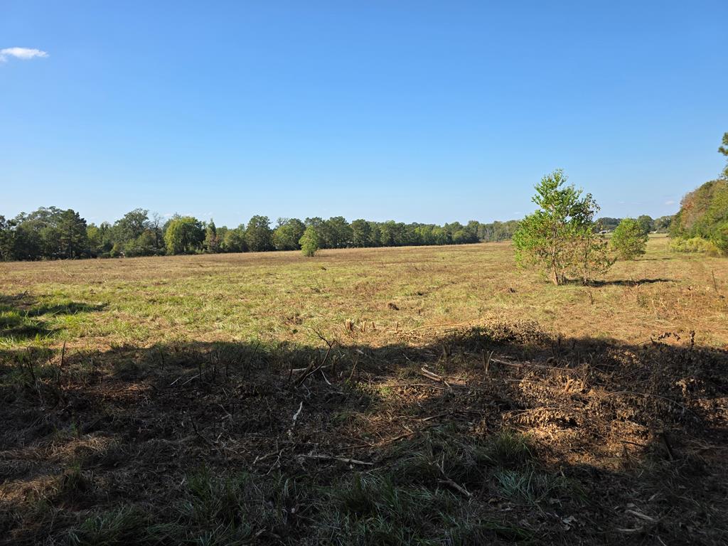 5762 Hwy 63w Property Photo 27