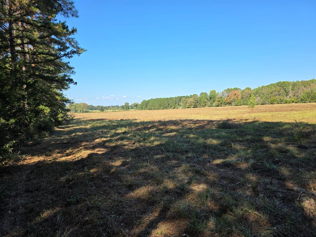 5762 Hwy 63w Property Photo 29