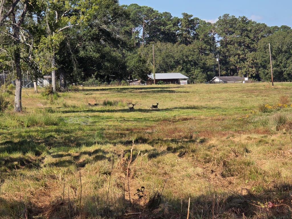 5762 Hwy 63w Property Photo 32