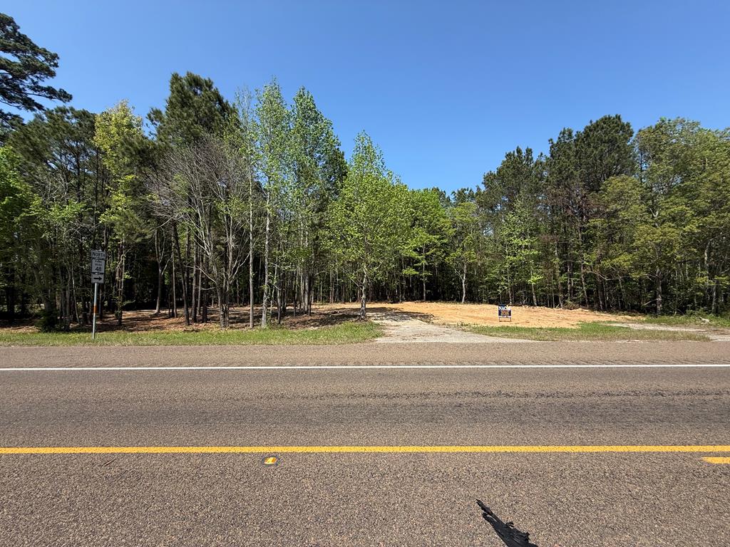 10912 Highway 190 E Property Photo 1