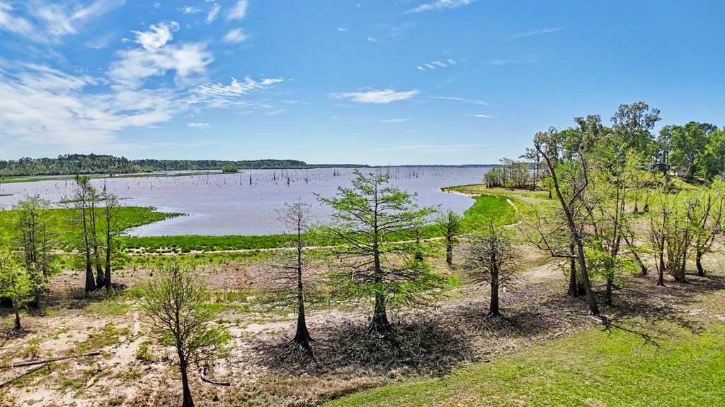 195 Cr 4804 E Property Photo 4