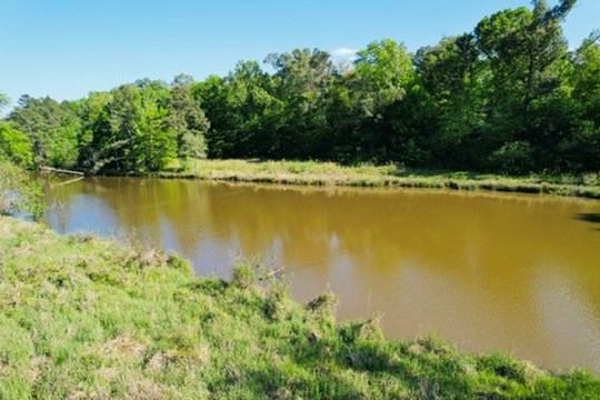 7930 Us Hwy 59 N Property Photo 4