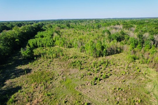 7930 Us Hwy 59 N Property Photo 8