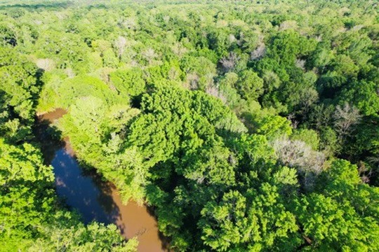 7930 Us Hwy 59 N Property Photo 10
