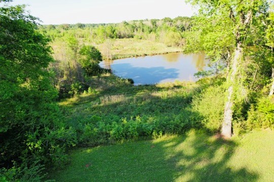 7930 Us Hwy 59 N Property Photo 22
