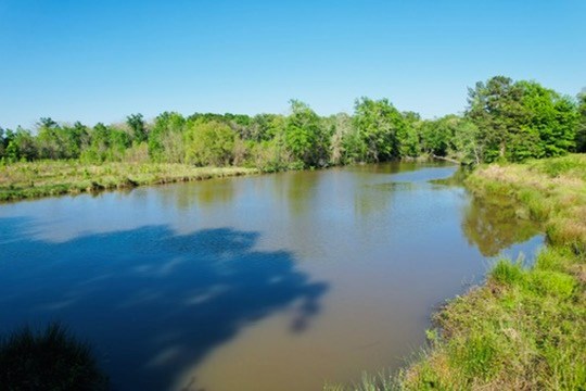 7930 Us Hwy 59 N Property Photo 23