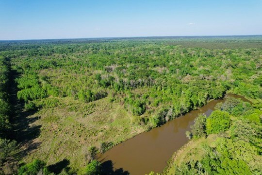 7930 Us Hwy 59 N Property Photo 25