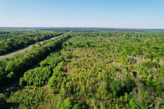7930 Us Hwy 59 N Property Photo 26