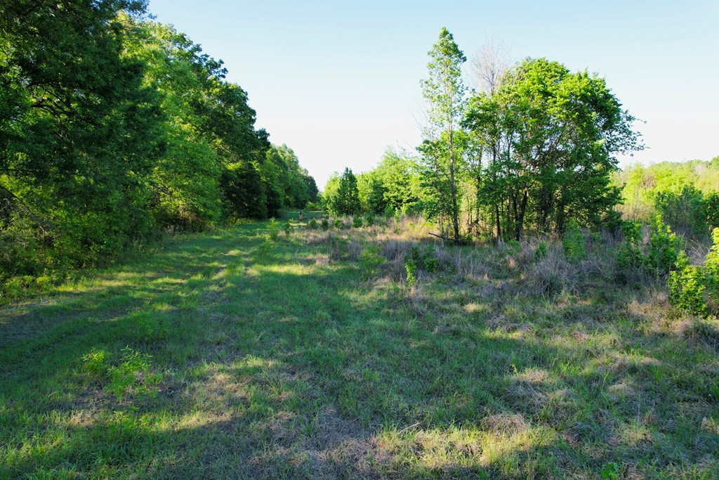 7930 Us Hwy 59 N Property Photo 27