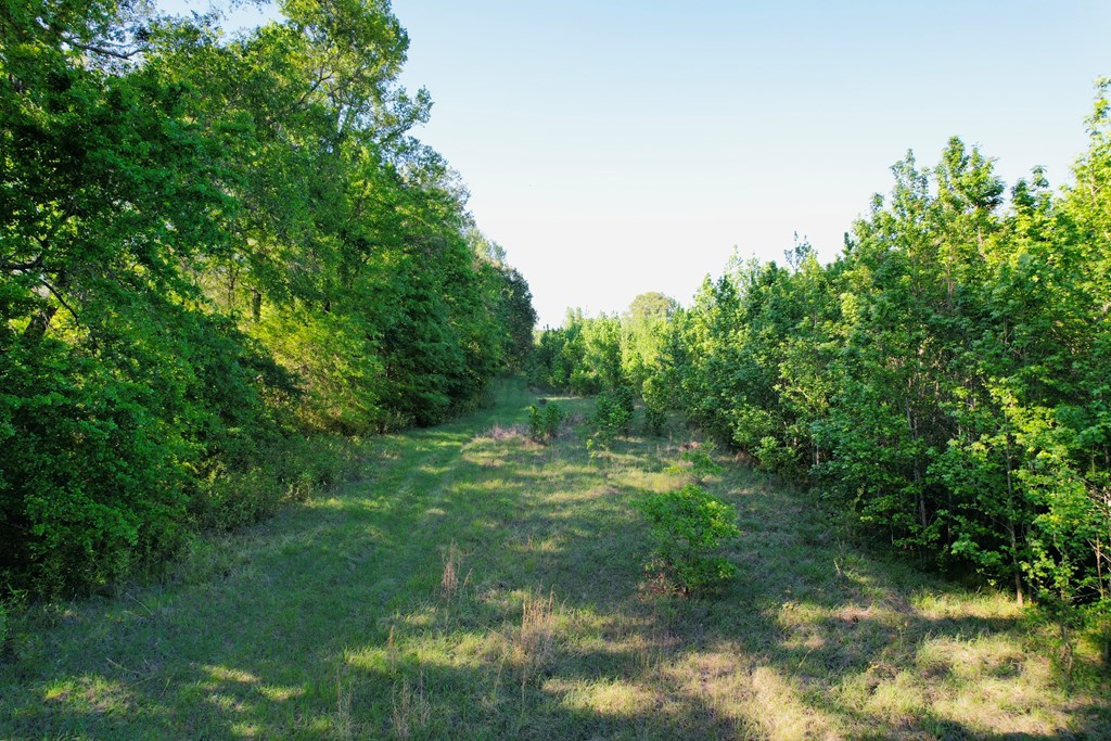 7930 Us Hwy 59 N Property Photo 28