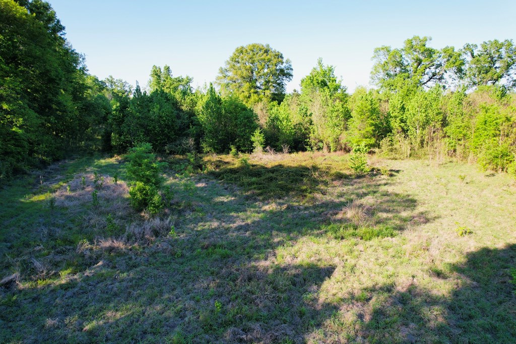 7930 Us Hwy 59 N Property Photo 29