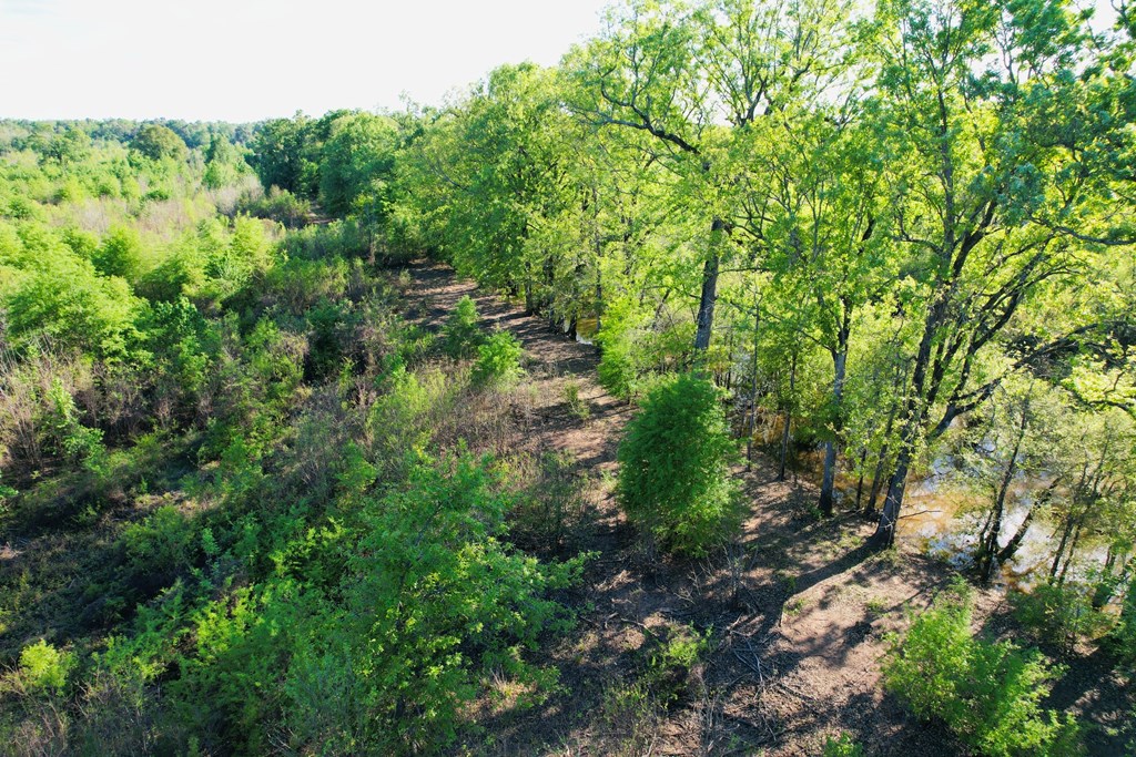 7930 Us Hwy 59 N Property Photo 31