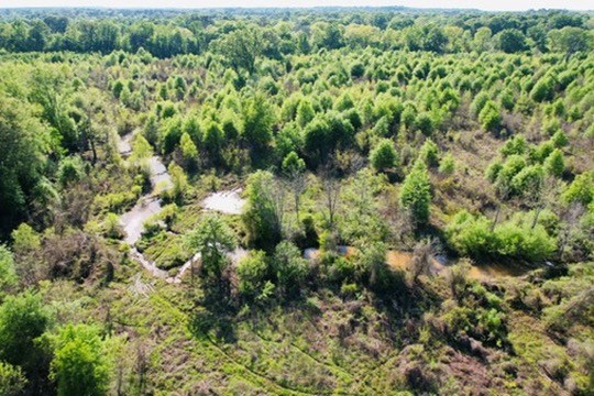 7930 Us Hwy 59 N Property Photo 33